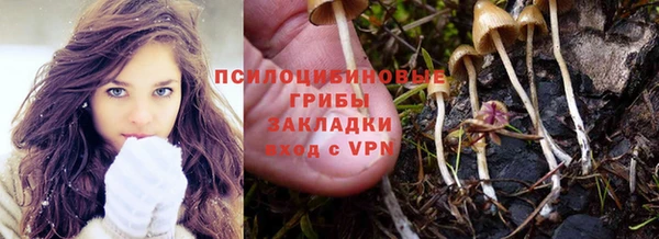 spice Алексеевка